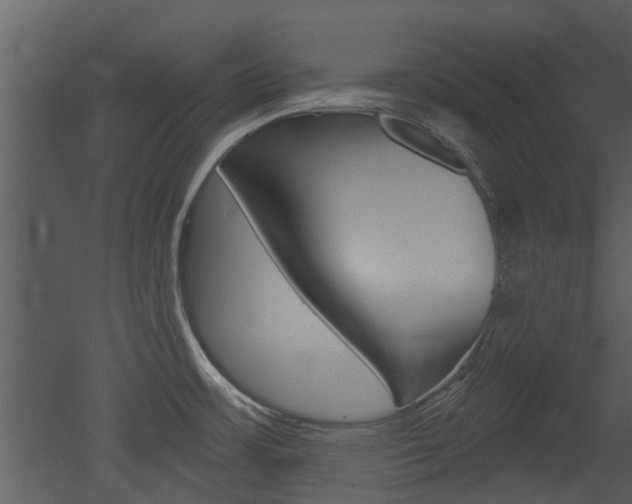 X0000052961483200507080843