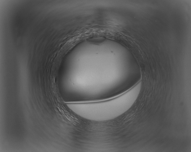X0000052961489200507080842