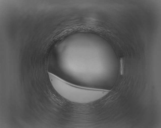 X0000052961491200507080842