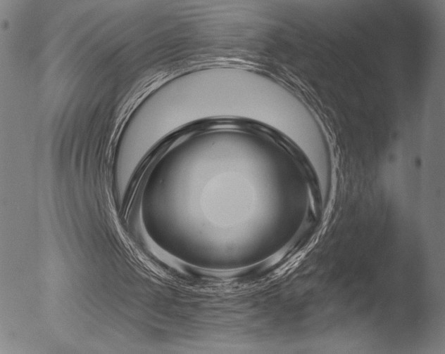 X0000052960049200507081245