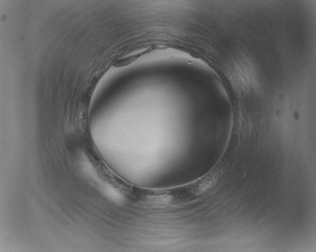 X0000052960266200507081242