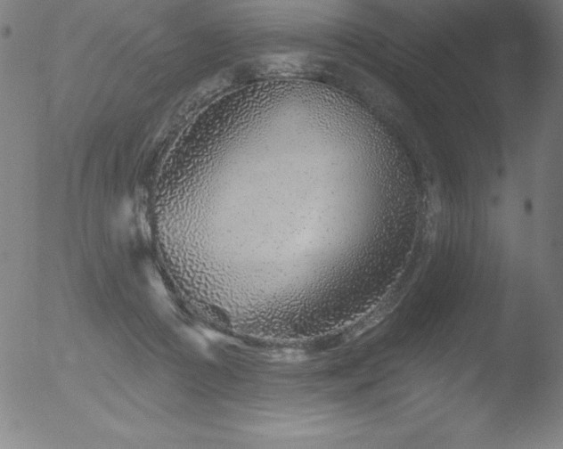 X0000052960361200507081241