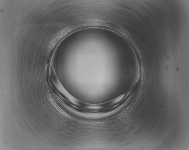 X0000052960389200507081240
