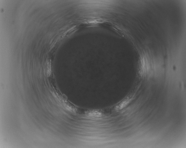 X0000052960471200507081239