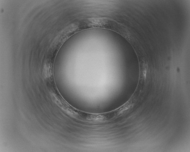 X0000052960514200507081238