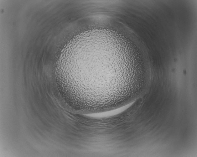 X0000052960701200507081235