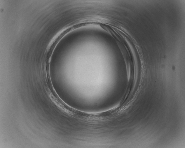 X0000052960788200507081234