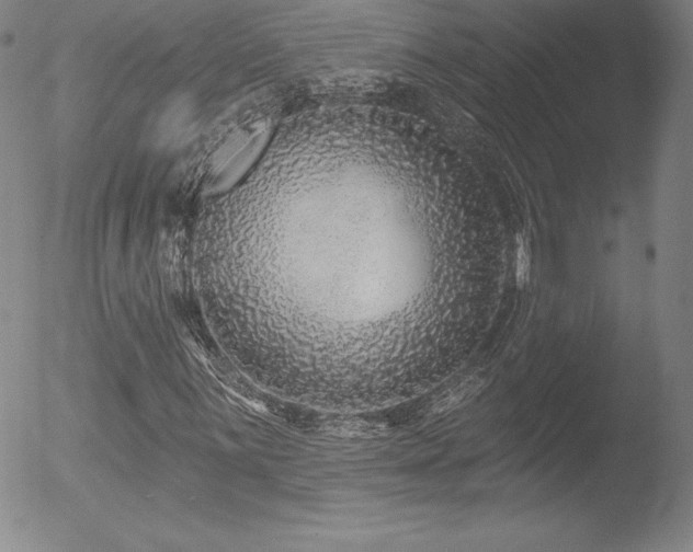 X0000052961059200507081229