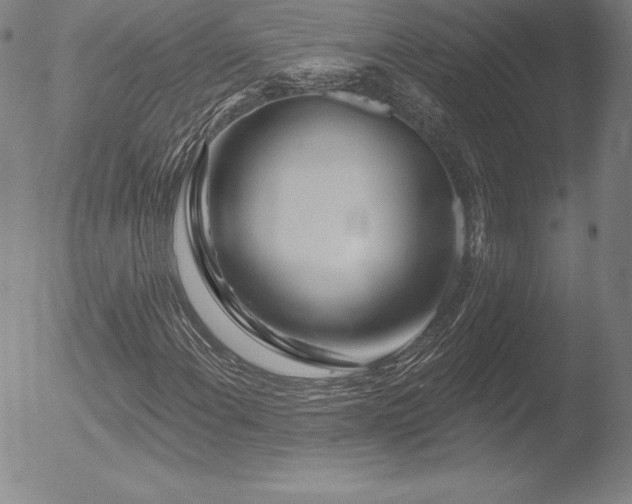 X0000052961108200507081228