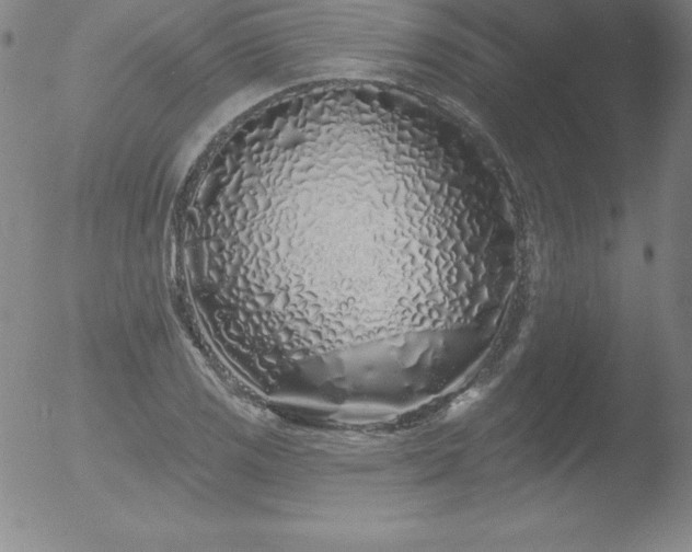 X0000052961125200507081228