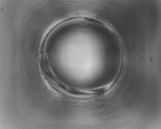 X0000052961144200507081228