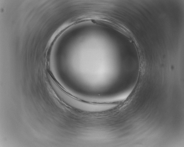 X0000052961146200507081228