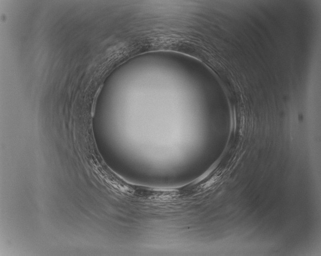X0000052961153200507081228