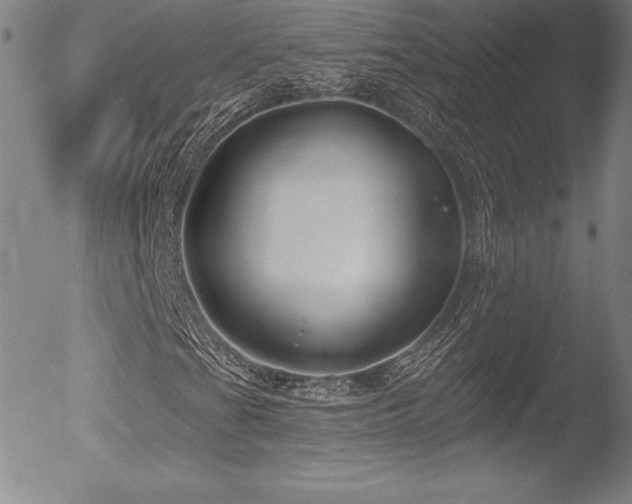 X0000052961201200507081226