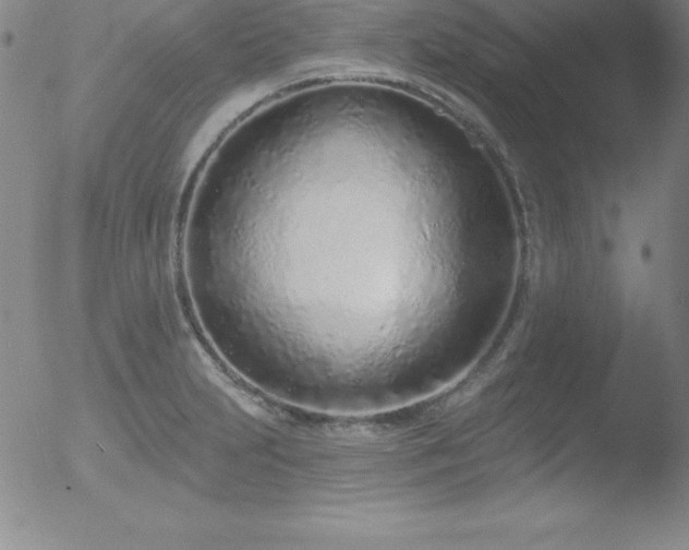 X0000052961231200507081227