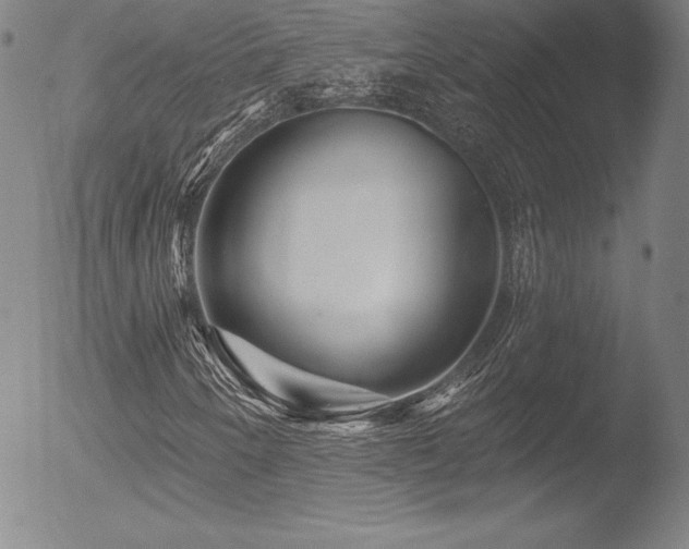 X0000052961250200507081226