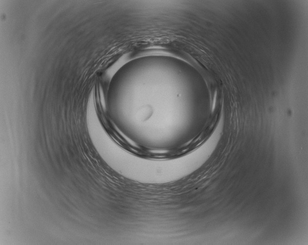 X0000052961298200507081225