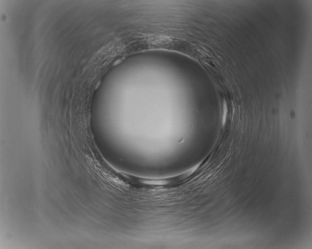 X0000052961345200507081225