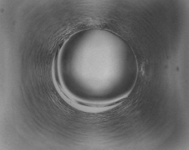 X0000052961348200507081224