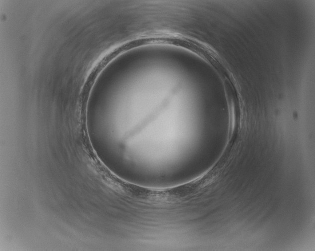 X0000052961364200507081224