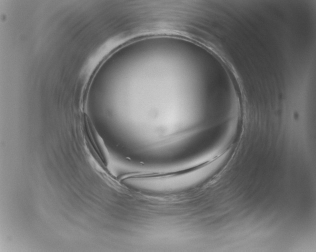 X0000052961388200507081224