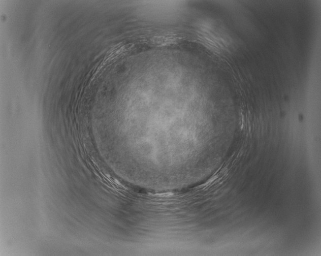 X0000052961393200507081223