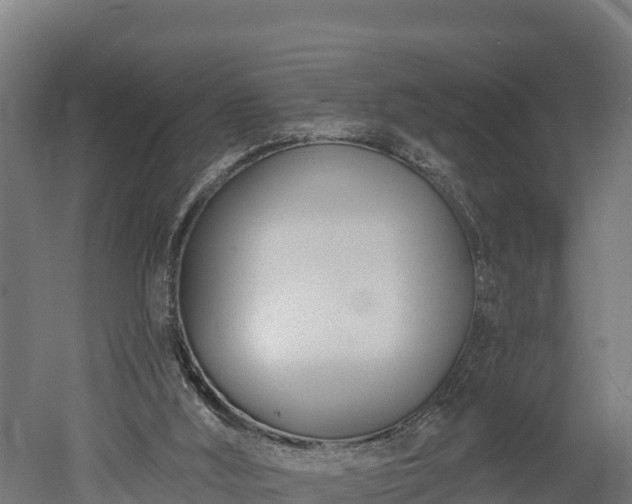 X0000052960012200507151747