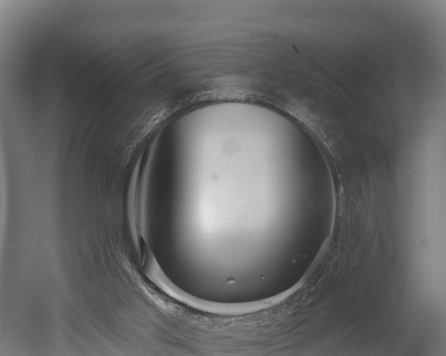 X0000052960013200507151747