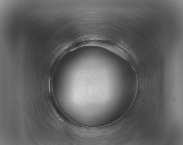 X0000052960014200507151747