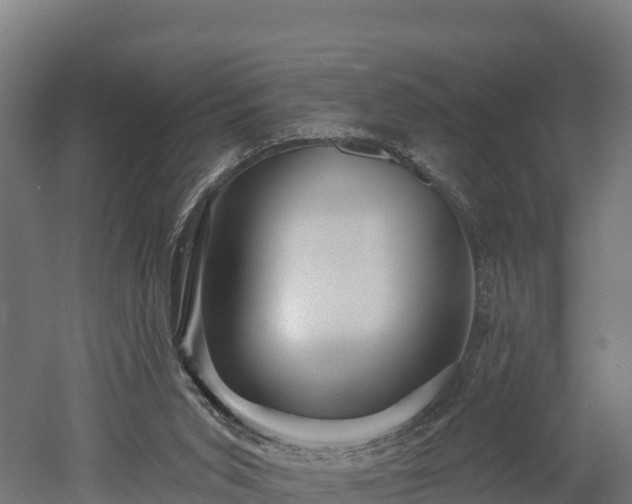X0000052960015200507151747