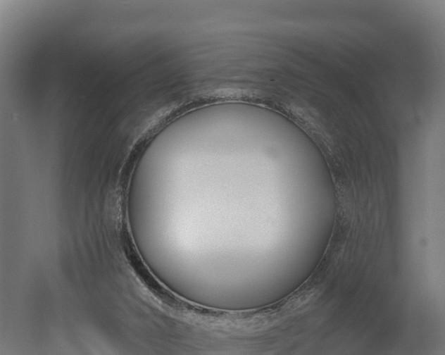 X0000052960016200507151747