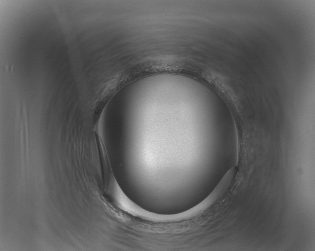 X0000052960017200507151747