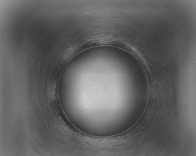 X0000052960018200507151747