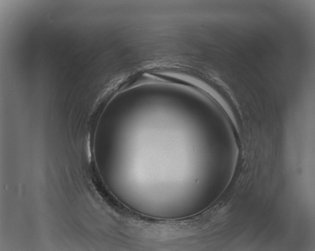 X0000052960020200507151747