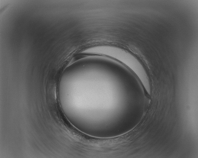 X0000052960021200507151747