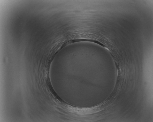 X0000052960039200507151747