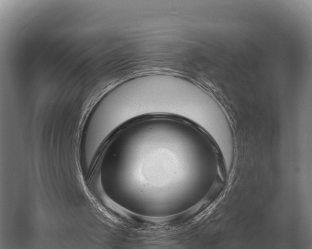 X0000052960049200507151746