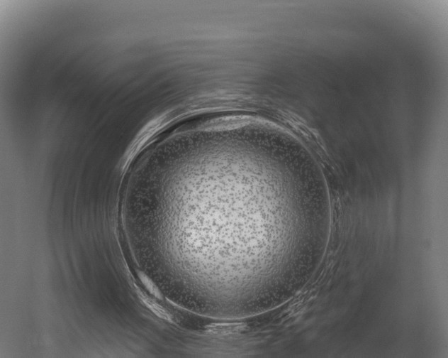 X0000052960051200507151746