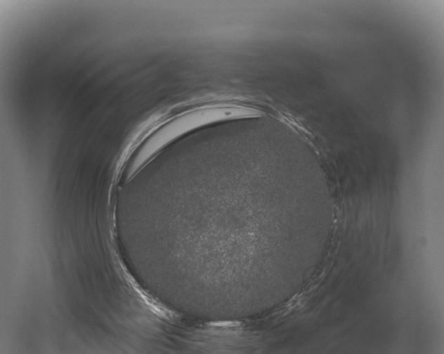 X0000052960053200507151746