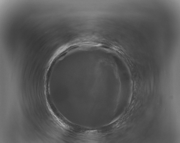 X0000052960054200507151746