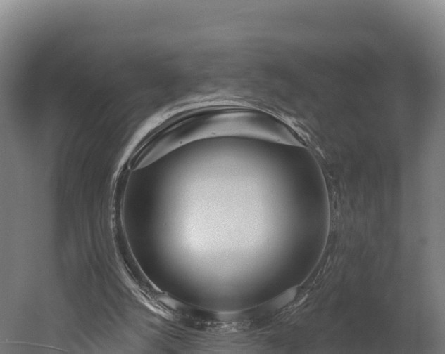 X0000052960056200507151746