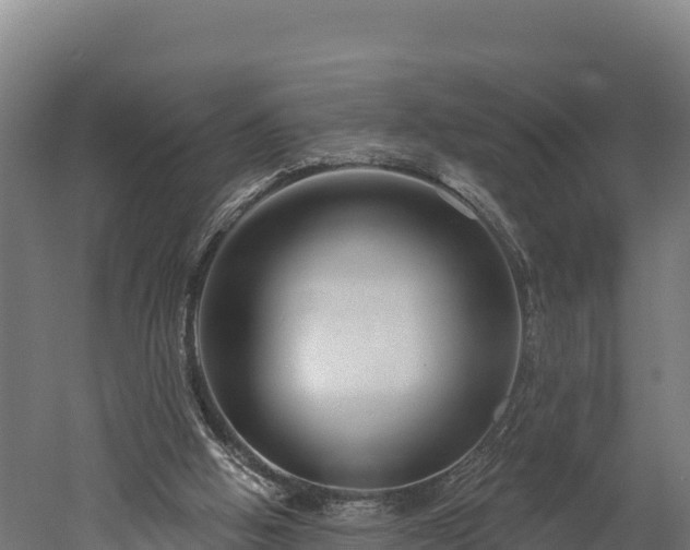 X0000052960058200507151746
