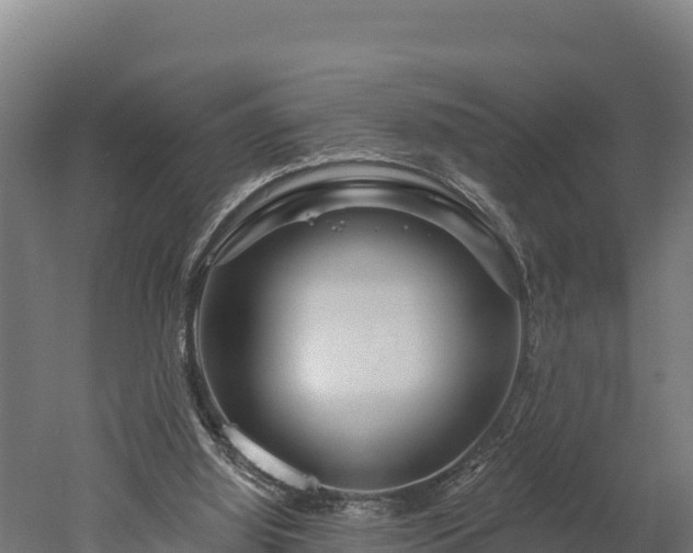 X0000052960060200507151746