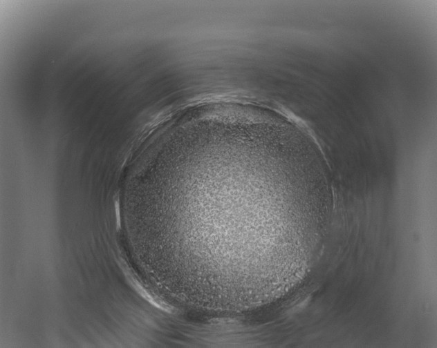 X0000052960061200507151746