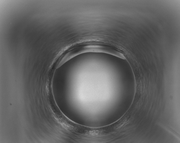 X0000052960064200507151746