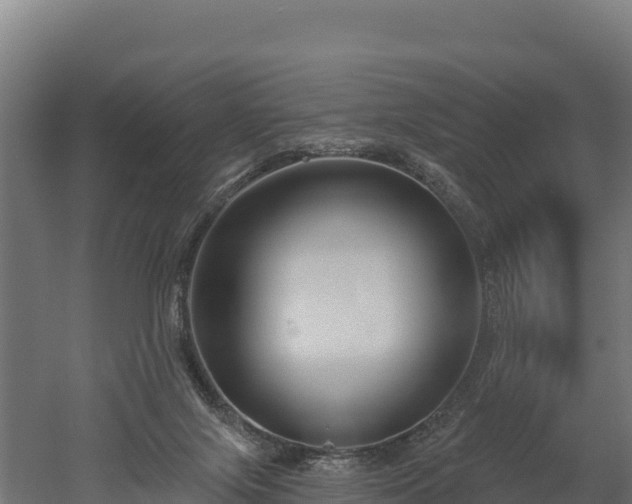 X0000052960071200507151746