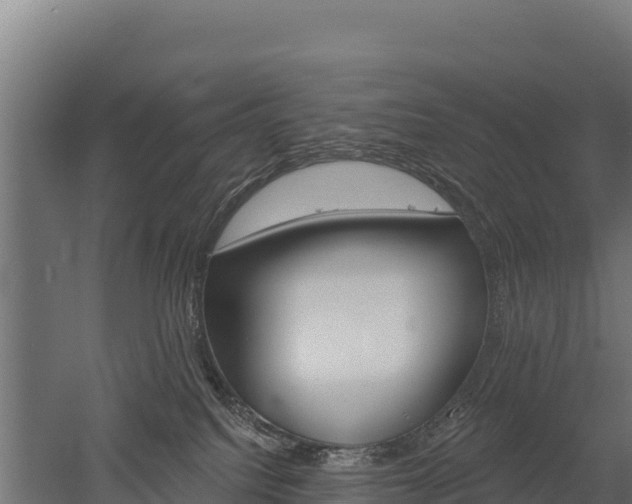 X0000052960088200507151747