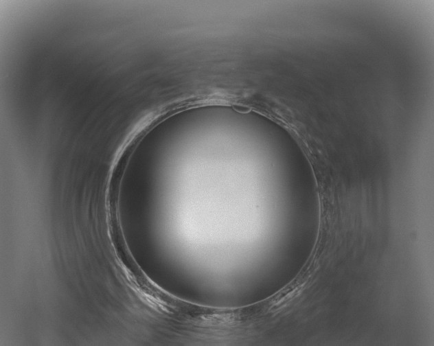 X0000052960102200507151746