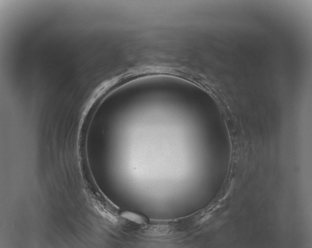 X0000052960104200507151746
