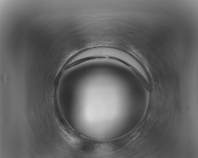 X0000052960107200507151746